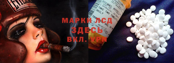 индика Баксан