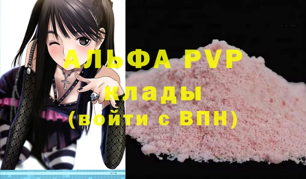 индика Баксан