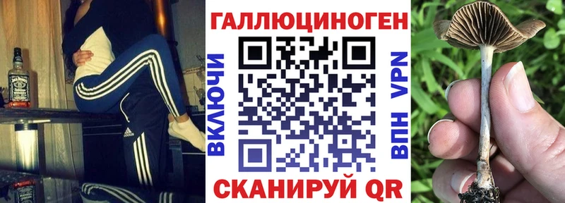 omg ссылка Магас Галлюциногенные грибы мухоморы